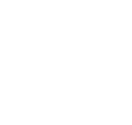 PRO IT